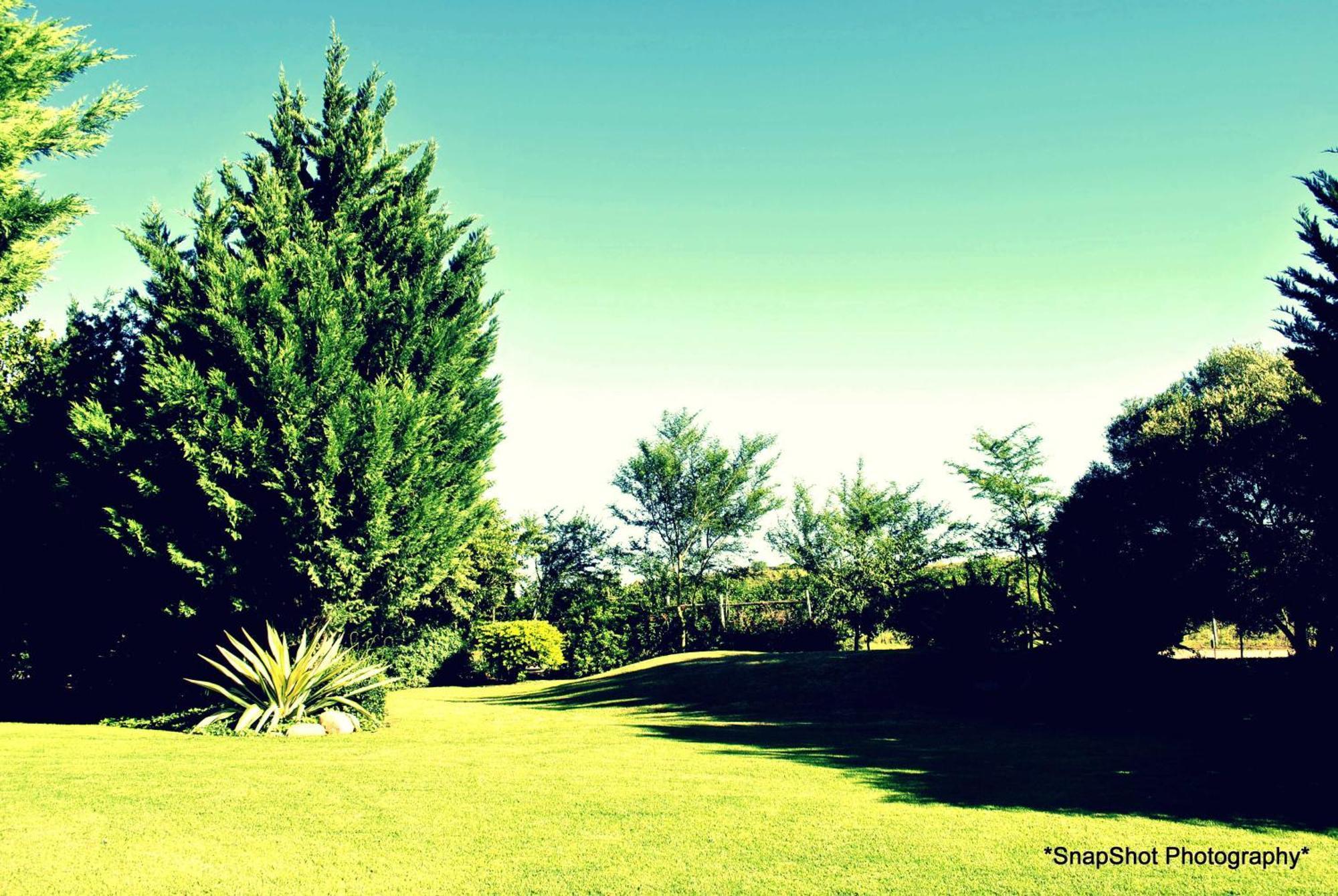 Kududu Guest House Addo Exterior photo